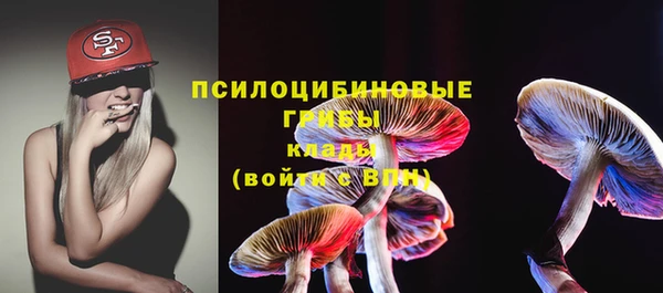 твердый Магадан