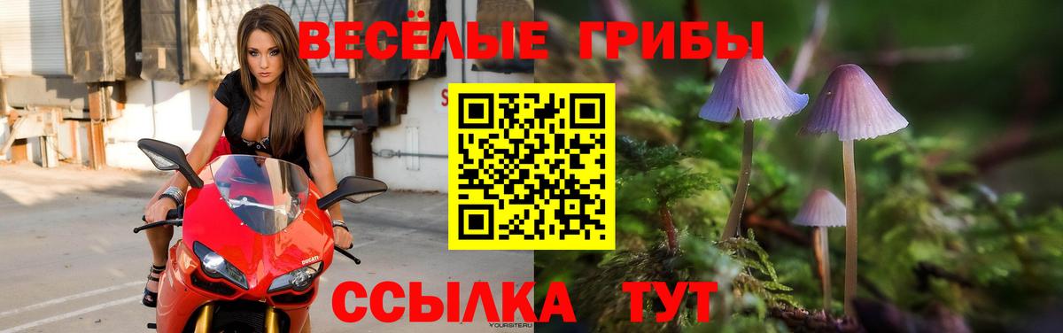 Галлюциногенные грибы мухоморы Саратов